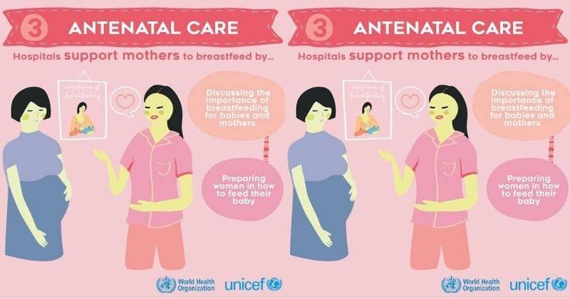 Dok. Nutrition and Food Safety